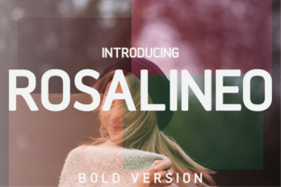Rosalineo Bold: A Sans Serif Font for Editorial Design