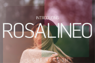 Rosalineo Light: A Typeface for Campaign Designers