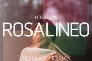 Rosalineo Regular: A Designer’s Honest Review